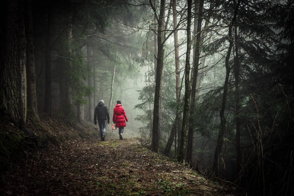 two person walking in forest during daytime-Healing and Moving On After a Breakup