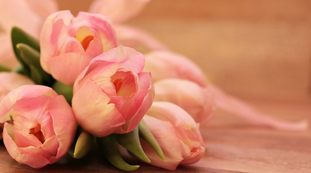 beautiful flowers, flower background, flower wallpaper-Nurturing Your Relationship