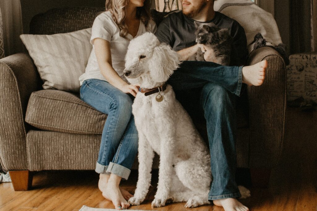 couple sitting on sofa beside dog inside room-Nurturing a Healthy Relationship
