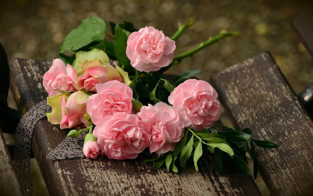 roses, pink roses, beautiful flowers-Language of Roses
