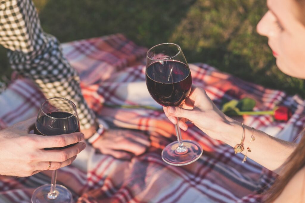 picnic, wine, cheers-Non-Verbal