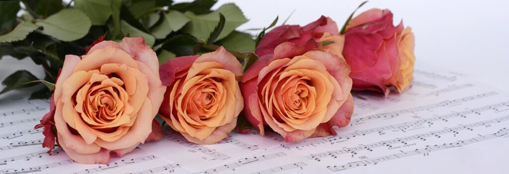 roses, flowers, beautiful flowers-Language of Roses