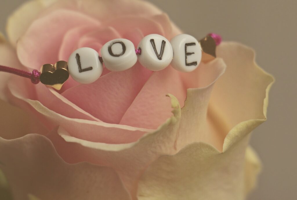 love, rose, flower-Reignite Your Love