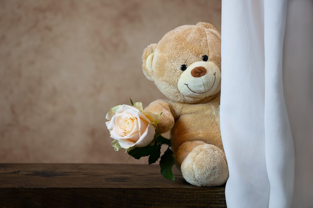 rose, beautiful flowers, teddy bear-Dating Myths